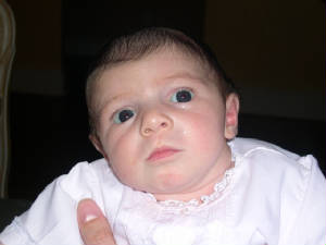 lilyclose.jpg